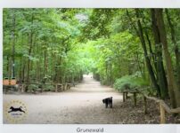 Grunewald